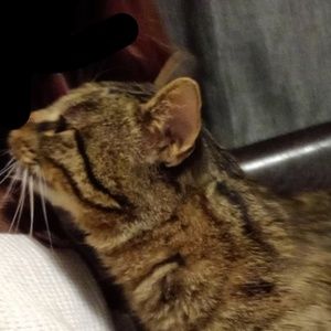 Meet your Posher, Alaine